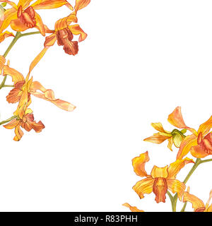 Aquarell orchidee Zweig, Hand gezeichnet floraler Abbildung auf einem weißen Hintergrund. Flora watercolor Illustration, botanische Malerei, Zeichnung. Stockfoto