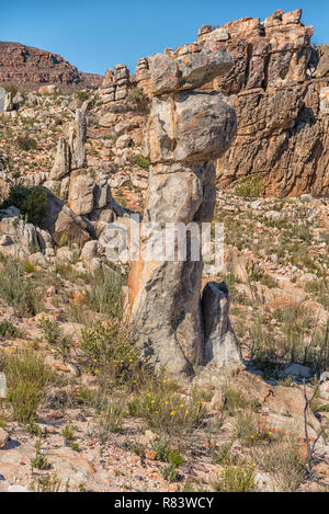 Felsbrocken auf die Lose Frau Wanderweg am Dwarsrivier in der cederberg Mountains Stockfoto
