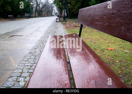 Leere nass braun Sitzbank im Park in Warschau, Polen, verschwommenen Hintergrund Stockfoto