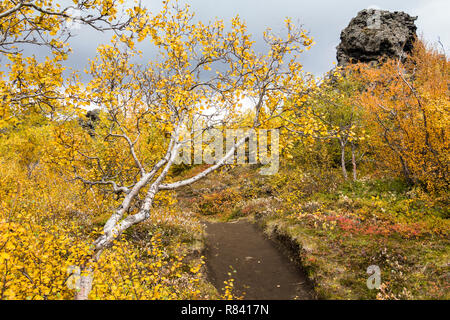 Dimmuborgir lava Landschaft im Herbst - Myvatn, Island Stockfoto