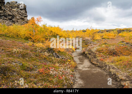 Dimmuborgir lava Landschaft im Herbst - Myvatn, Island Stockfoto