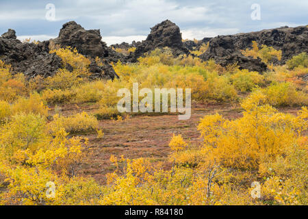 Dimmuborgir lava Landschaft im Herbst - Myvatn, Island Stockfoto