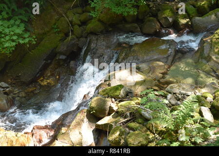Malerische Berg- und Trail auf Bearhead Trail und die Granit Seen im pazifischen Nordwesten. Der Staat Washington Mt. Rainer nimmt Hintergrund. Stockfoto