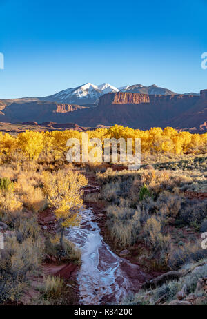 Herbstfarben im Castle Valley, UT Stockfoto