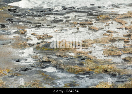 Hverir Landschaft an warmen geothermischen Aktivitäten, Island Stockfoto