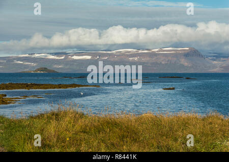 Fjord mit Gletscherblick in Westfjorde Islands Stockfoto