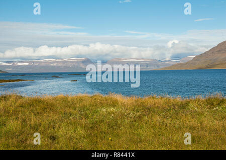 Fjord mit Gletscherblick in Westfjorde Islands Stockfoto