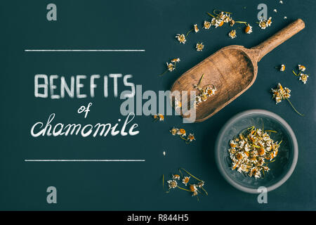 Vorteile der Kamille Tee, Text. Getrocknete Kamillenblüten in der Schüssel und hölzerne Schaufel Löffel auf dunklem Hintergrund, Ansicht von oben mit der Kopie Raum für Ihr Design. Stockfoto