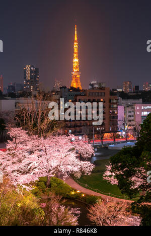 Nacht Blick auf Kirsche Blüte mit den Tokyo Tower als Hintergrund. Bei Mori Garten, Tokio, Japan Photoed. Stockfoto