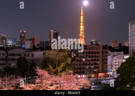 Nacht Blick auf Kirsche Blüte mit den Tokyo Tower als Hintergrund. Bei Mori Garten, Tokio, Japan Photoed. Stockfoto