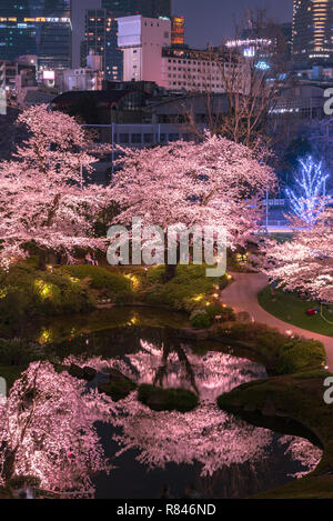 Anzeigen von Cherry bei Mori Garten, Tokio, Japan. Stockfoto