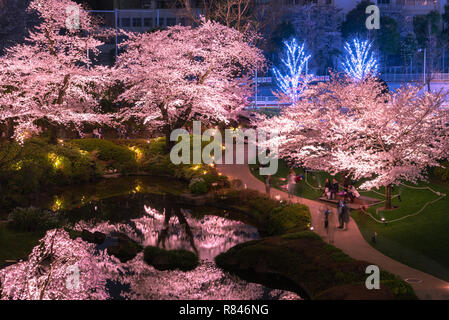 Anzeigen von Cherry bei Mori Garten, Tokio, Japan. Stockfoto