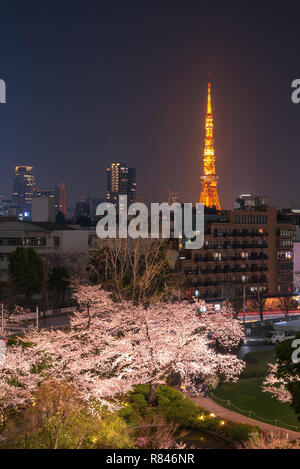 Nacht Blick auf Kirsche Blüte mit den Tokyo Tower als Hintergrund. Bei Mori Garten, Tokio, Japan Photoed. Stockfoto