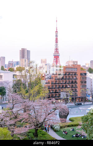 Blick auf Kirsche Blüte mit den Tokyo Tower als Hintergrund. Bei Mori Garten, Tokio, Japan Photoed. Stockfoto