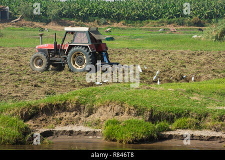 Traktor pflügen ländlichen landwirtschaftlichen Ackerflächen in der afrikanischen Landschaft am Fluss Stockfoto