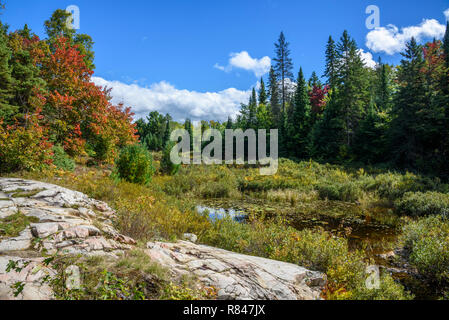 La Cloche Silhouette Trail, Killarney Provincial Park, Ontario, Kanada Stockfoto