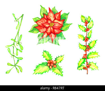 Rot Weihnachtsstern Blume, Holly und Mistel Zweige mit Beeren, auf White watercolor Illustration isoliert Stockfoto