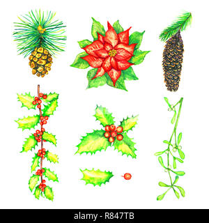 Rot Weihnachtsstern Blume, Holly und Mistel Zweige mit Beeren, Kiefer mit Zapfen, auf White watercolor Illustration isoliert Stockfoto