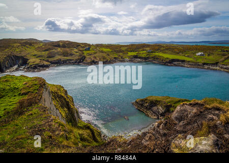 Wunderbare Landschaft auf Sherkin Island in West Cork, Co Cork, Irland Stockfoto