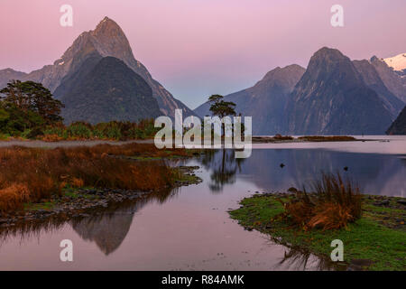 Milford Sound, Südinsel, Fjordland, Neuseeland Stockfoto