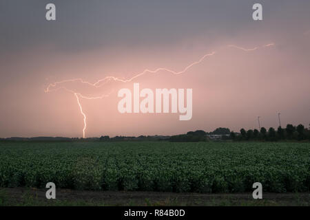 Ein heller Blitz schlägt auf der Erde bei einem schweren Gewitter in den Niederlanden. Zwischen die Städte Gouda und Leiden, Holland fotografiert. Stockfoto