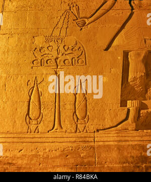 Am Abend Blick auf die Reliefs am Tempel von Kom Ombo, Assuan, Ägypten, Afrika Stockfoto