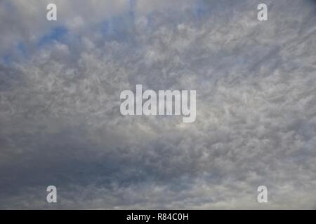 Texturierte, Klumpig Base von stratocumulus Cloud, über Aberdeen an einem Herbstabend. Natürliche Wetter Hintergrund, Schottland, Großbritannien. Stockfoto