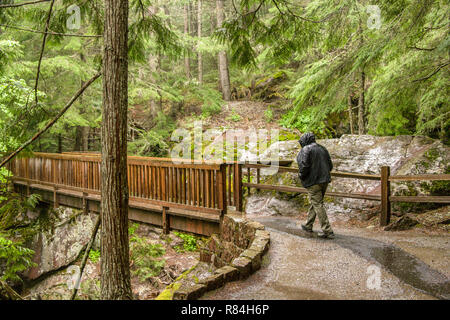 Spuren der Zedern Brücke über Avalanche Creek, an der Sonne Straße, im Glacier National Park, Montana, USA Stockfoto