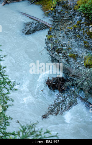 Wandern entlang der Johnston Canyon River auf der Unteren und Oberen fällt Trail im Jasper National Park, Alberta, Kanada Stockfoto