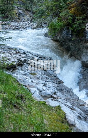 Wandern entlang der Johnston Canyon River auf der Unteren und Oberen fällt Trail im Jasper National Park, Alberta, Kanada Stockfoto