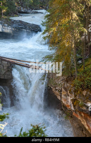 Wandern entlang der Johnston Canyon River auf der Unteren und Oberen fällt Trail im Jasper National Park, Alberta, Kanada Stockfoto