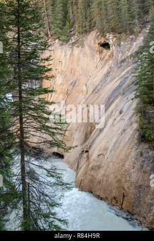 Wandern entlang der Johnston Canyon River auf der Unteren und Oberen fällt Trail im Jasper National Park, Alberta, Kanada Stockfoto