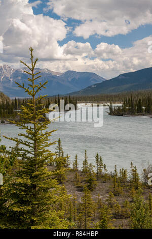 Banff National Park, Alberta, Kanada. Blick auf den Athabasca River entlang des Icefields Parkway. Stockfoto