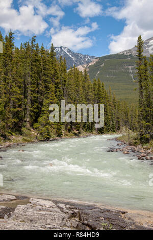 Jasper National Park, Alberta, Kanada. Sunwapta Fluss direkt oberhalb der Wasserfälle. Stockfoto