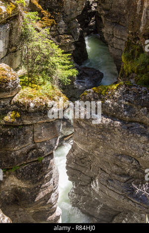 Maligne Canyon in der Nähe von Jasper, Jasper National Park, Alberta, Kanada. Der Maligne River fließt durch den Boden der Schlucht. Stockfoto