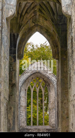 Ruinen des Muckross Abbey, 1448 gegründet als Franziskanerklosters. Nationalpark Killarney, County Kerry, Irland. Stockfoto