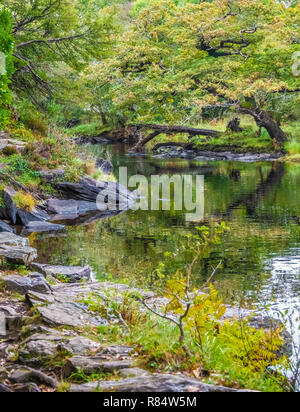 Sitzung des Wasser, Muckross Lake, Nationalpark Killarney, County Kerry, Irland. Stockfoto