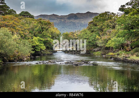 Old Weir Brücke, Sitzung des Wassers, wo die drei Killarney Seen (Obere, Muckross und Lough Lane) Nationalpark Killarney, County Kerry, ICH Stockfoto