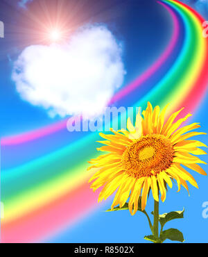 Rainbow, Sonnenblumen und Herz aus den Wolken im blauen Himmel Stockfoto