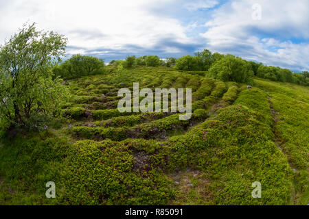 Steinernen Labyrinthe auf dem Bolschoj Zayatsky Insel. Solovetsky Inselgruppe, Weißes Meer, Russland Stockfoto