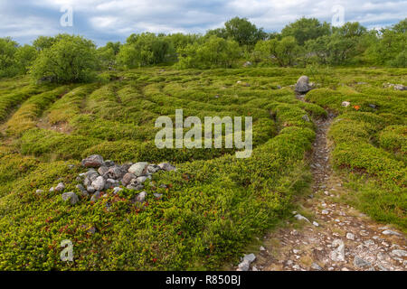 Steinernen Labyrinthe auf dem Bolschoj Zayatsky Insel. Solovetsky Inselgruppe, Weißes Meer, Russland Stockfoto