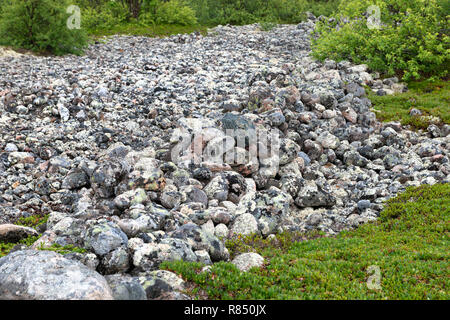 Stein warften - künstliche Steinhaufen von kleinen Felsbrocken auf dem Bolschoj Zayatsky Insel. Solovetsky Inselgruppe, Weißes Meer, Russland Stockfoto