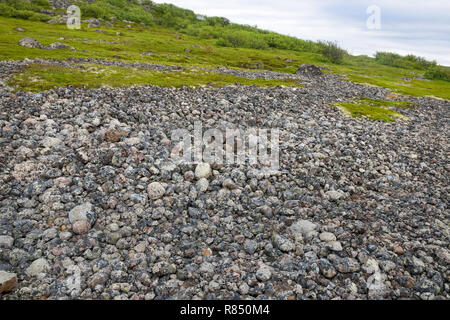 Stein warften - künstliche Steinhaufen von kleinen Felsbrocken auf dem Bolschoj Zayatsky Insel. Solovetsky Inselgruppe, Weißes Meer, Russland Stockfoto