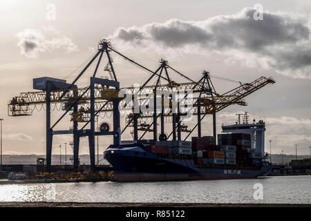 Krane in einem Hafen entladen ein Tanker Stockfoto