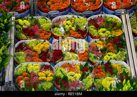 Niederlande, Aalsmeer: Partien von Pflanzen in einem Lager für die Blume Auktion, Royal FloraHolland. Blumen, Sträuße Stockfoto