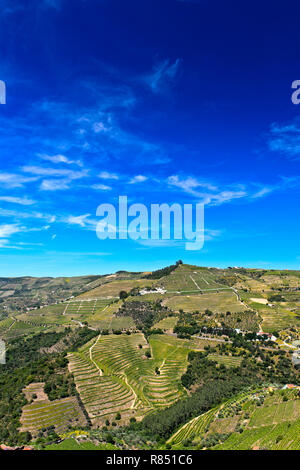 Portugal: Landschaft mit terrassierten Weinbergen im Douro Tal (pinhao), den oberen Douro Weinanbaugebiet Stockfoto