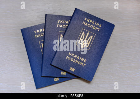 Ukrainische biometrischen Pass auf einem grauen Hintergrund Holz Stockfoto