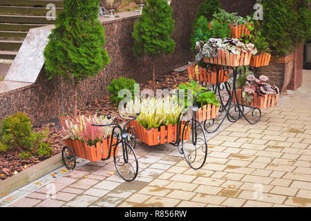 Blumen und Pflanzen in Töpfen in Form von Fahrrädern auf der Straße auf dem Bürgersteig Stockfoto