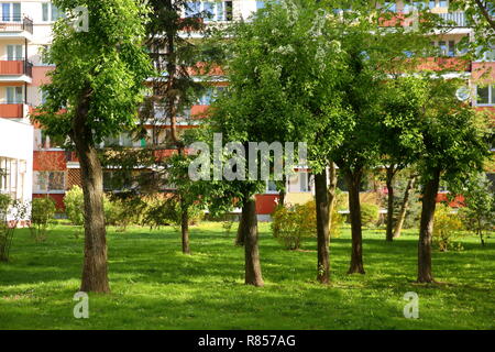 Eine Stadt auf der grünen Wiese inmitten Wohnhochhäuser. Stockfoto
