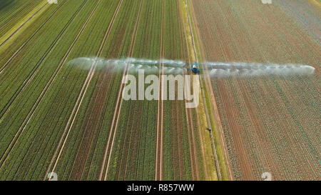 Luftbild: Bewässerungsanlagen Bewässerung Kohl Feld. Bewässerung Bewässerung Bauernhof Feld. Stockfoto